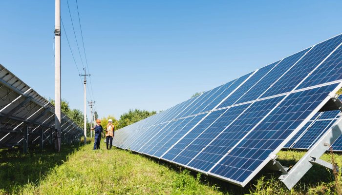 engineer and businesswoman walking near solar energy batteries